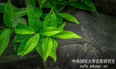 中央財(cái)經(jīng)大學(xué)同等學(xué)力申碩達(dá)到多少分才算通過考試？