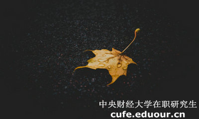 中央財經(jīng)大學(xué)在職研究生與課程研修班有哪些區(qū)別？