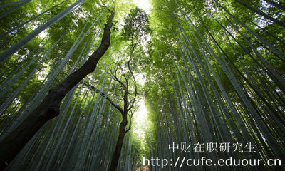 中財人力資源管理在職研究生學制幾年？