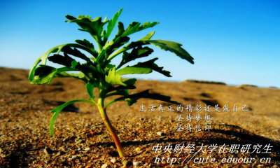 中央財經(jīng)大學(xué)在職研究生同等學(xué)力申碩有哪些優(yōu)勢？